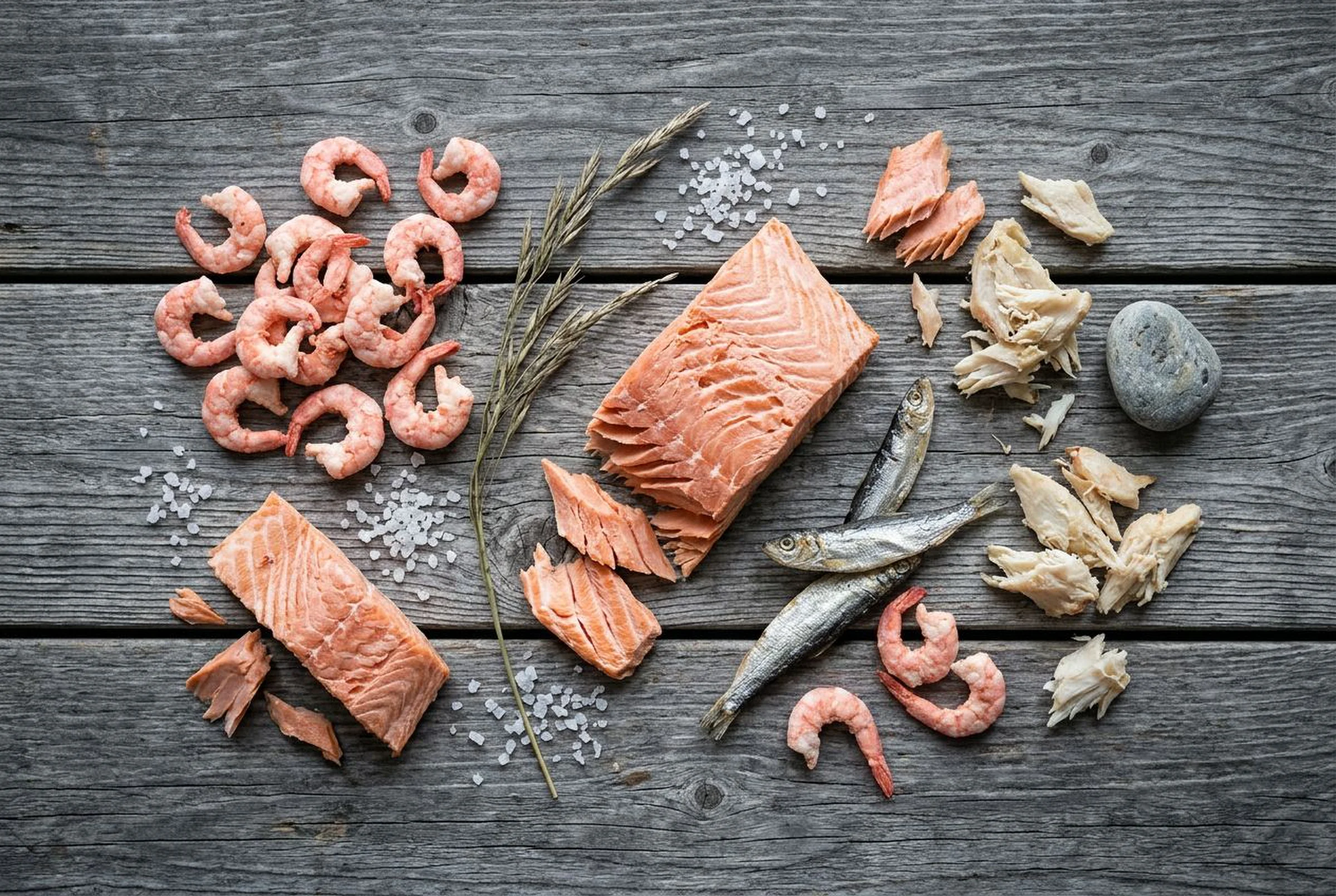 Gefriergetrocknete Fisch- und Meeresfrüchte-Sorten